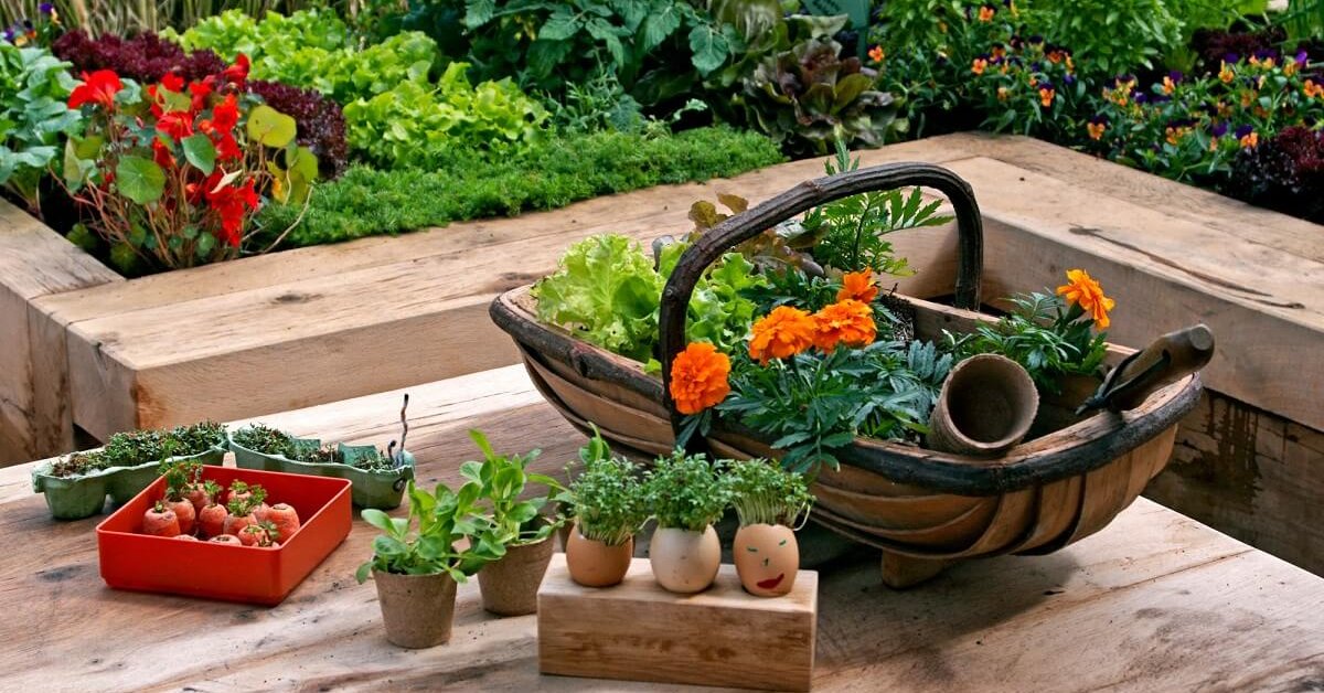 Сад и огород. Всё о выращивании фруктов и овощей — Ботаничка
